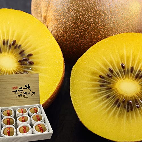 キウイ さぬきゴールド 秀品 約1.3kg 3L～5Lサイズ 7～9玉 化粧箱 JA香川県 香川県産 きうい フルーツ 果物 グルメのサムネイル