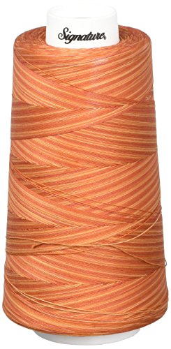 Signature Thread Machine Quilting Thread, 40Wt/3000 Yd, Variegated Rusty Oranges #TOP21