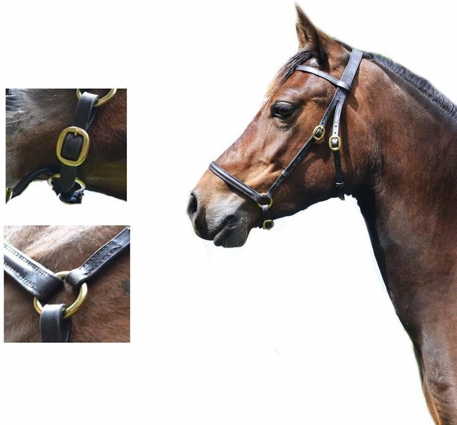 English Bridle Headstall Reins Leather Cowhide Genuine Horse Crossover Crossunder Raised Fancy Stitched Laced All Purpose Jumping Dressage Rubber Crystal Padded Adjustable Browband Full-Cob,M63