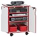 Rainbow Accents? Presentation AV Cart Rectangular Accent Color: Purple
