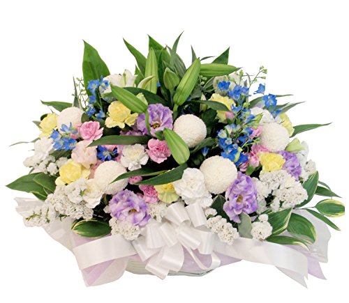 ԗR ԃAW  LTCY  ~bNX