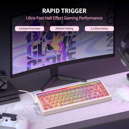 Image of Hexgears MX68 Mechanical Gaming Keyboard with Hall Effect Nuomi Switches | Removable Frame, 0.125ms Delay, 8000Hz Polling Rate, RGB Backlit&Lightbox, 5-Layer Structure, HIFI Sound