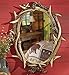 BLACK FOREST DECOR Oval Antler Mirror