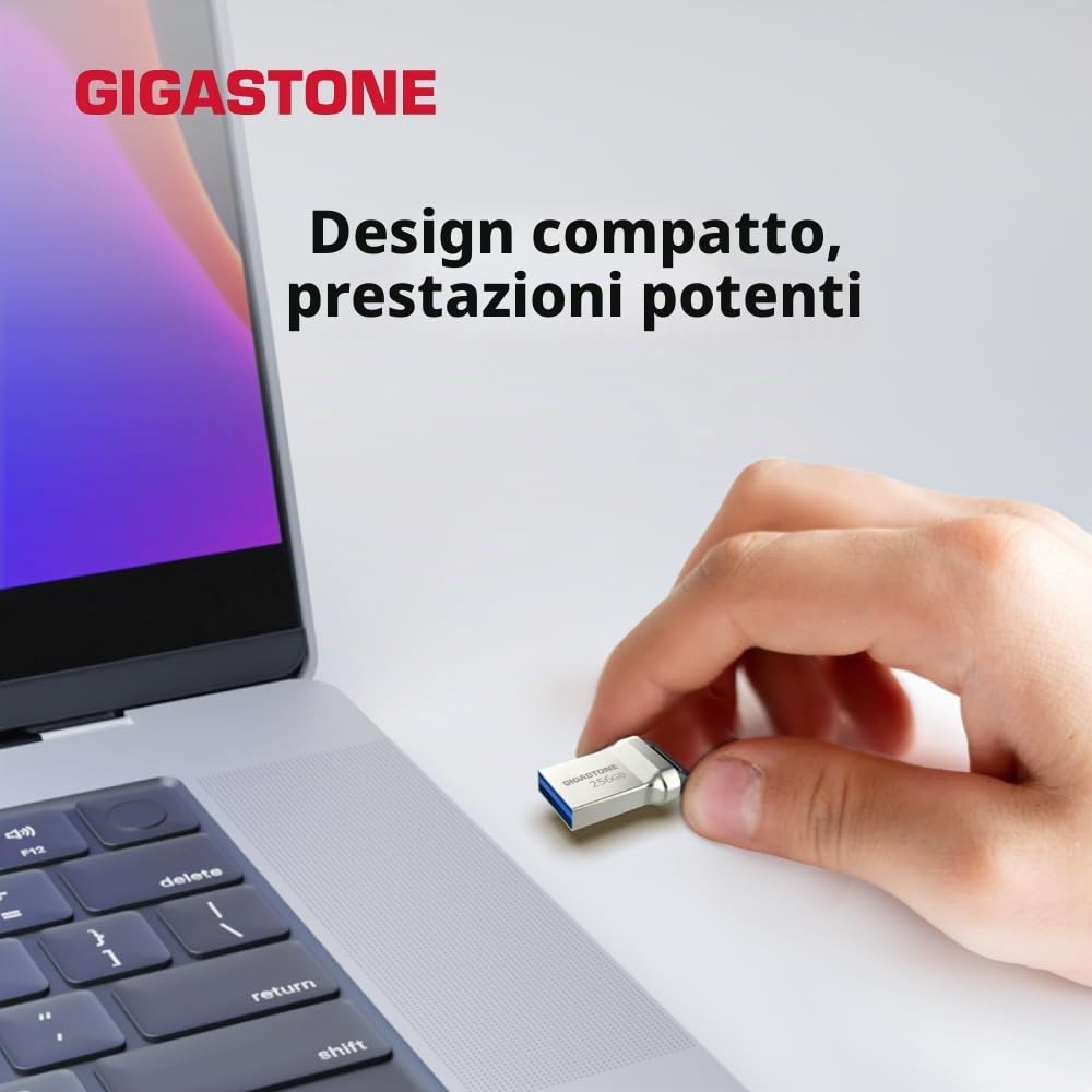 Gigastone 256 GB Chiavetta USB 3.1, Z90 Serie, Velocità e prestazioni affidabili, Ideali per PC Computer Mac, Compatibile con interfaccia USB 2.0/3.0/3.1, Impermeabile in metallo, Mini e robusto