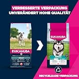 Eukanuba Hundefutter mit Lachs & Gerste für große Rassen - Trockenfutter für ausgewachsene Hunde, 12 kg
