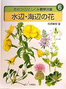 庭と温室と海岸の花 花のつくりがよくわかる植物観察図鑑  /旺文社/松原巌樹（単行本） 庭と温室と海岸の花 花のつくりがよくわかる植物観察図鑑