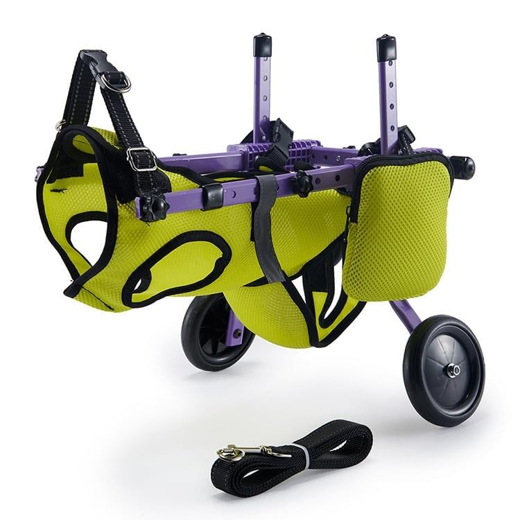 Fauteuil roulant pour chien et chat réglable chariot de rééducation animaux