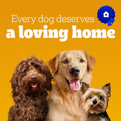 PEDIGREE with Tender Bites Small Dog Adult Dry Dog Food Chicken & Steak Flavour - With Whole Grains and Vegetables - Omega-6 for Healthy Coat and Skin, 2kg Bag image 2