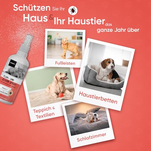 Floh & Zeckenschutz für Hunde & Katzen - Floh & Zeckenspray - Natürliches Flohmittel für Wohnung & Möbel - 500ml Zeckenschutz mit Pfefferminz & Rizinusöl - Flohspray - Anti Milben Spray - animigo