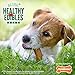 Nylabone Healthy Edibles Natural Dog Chews, Long Lasting Bones for Dogs, Chicken Flavor Dog Treats, Small (3 Count)