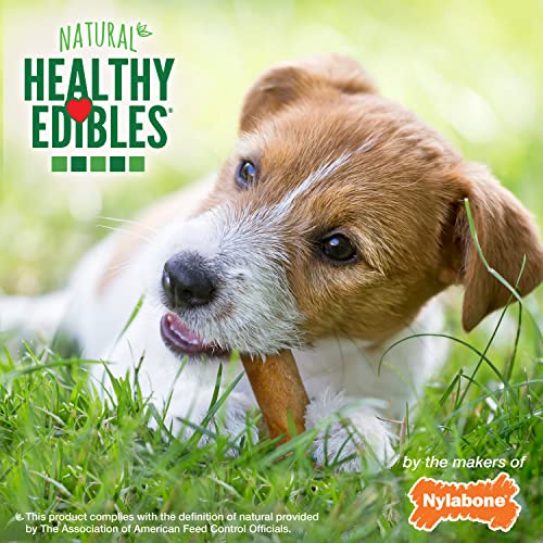 Image of Nylabone Healthy Edibles Dog Treats, Chicken Flavor, Small, 3 Count | Natural dog chew bones, made in USA, highly digestible chicken treats, long lasting chews for small dogs up to 25 lbs