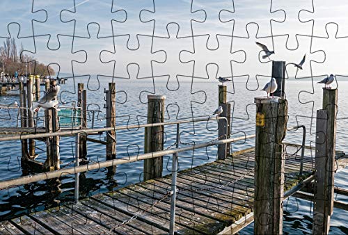 Puzzle-Postkarte Bodensee 1: Motiv Möwen am Steg