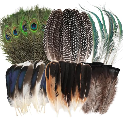 MWOOT 48 Piezas Plumas Naturales, 6 Estilos Plumas de Pavo Real Plumas de Cola de Faisán Plumas de Pavo y Pato para DIY Manualidades, Plumas Decorativas para Mascarada de Carnaval Boda Fiesta