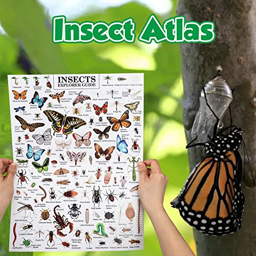 Toy Life Kids Explorer Kit, Bug Catcher Kit For Kid, Bug Catching Kit With Butterfly Net, 25Pcs Kids Camping Set Gear,Kids Adventure Kit, Insect Catcher, Explorer Costume, Outdoor Explorer Kit For Kid #TOP3