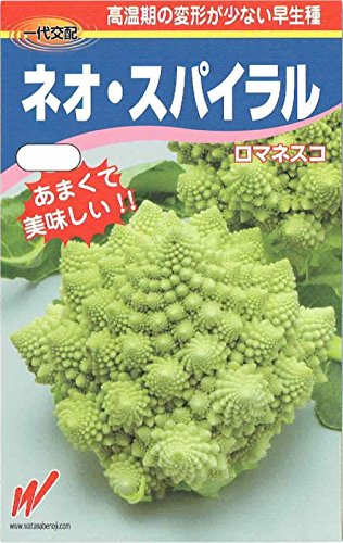 Amazon.co.jp: 渡辺農事 カリフラワー ロマネスコ ネオスパイラルの
