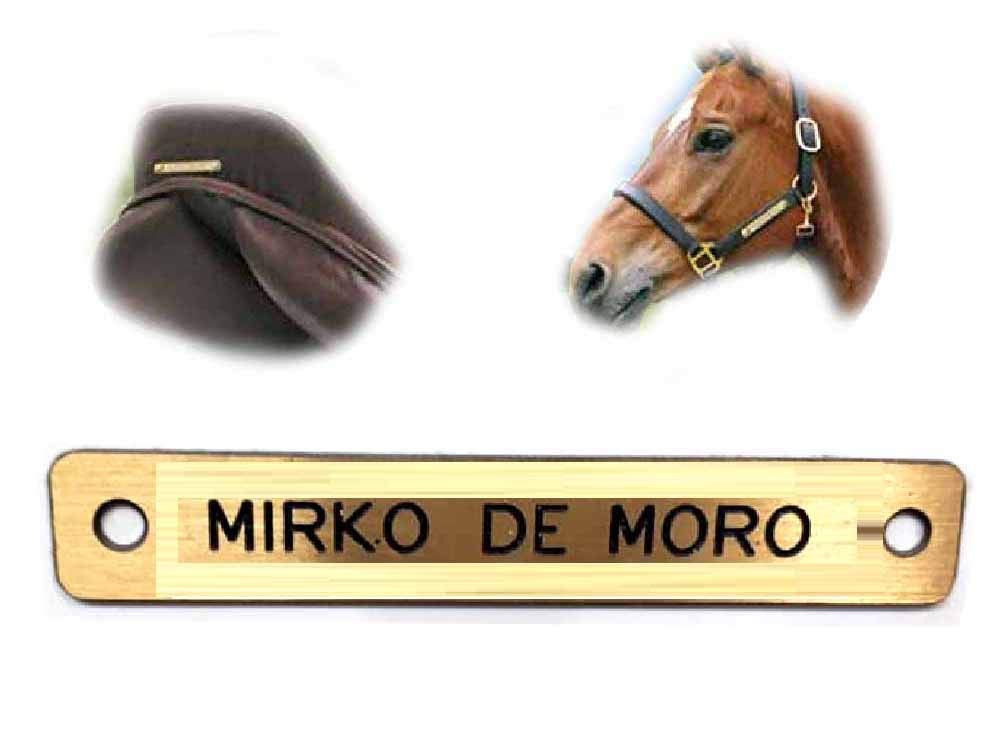 TARGA OTTONE SELLA CAVALLO 7x2 cm 1mm 2 FORI targhetta 1 RIGO cavezza cavallo Briglia Sellino COL NOME CAVALLO INCISIONE COMPRESA stampatello 1 portachiavi
