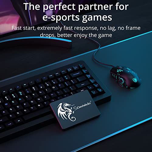 Image of Somnambulist SSD 120GB 2.5″ 7mm(0.28″) SATA III 6Gb /s Internal Solid State Hard Drive 3D NAND Up to 520Mb /s for Laptop and Pc (120gb Black Dragon)