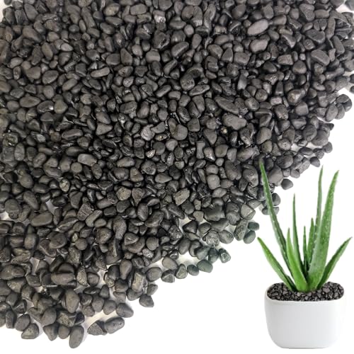 Image of HappyFiller 0.88 LB Black Gravels Small Stones Succulent Mini Rocks | Planter Soil Cover Pebbles,Fairy Garden,Terrarium,Lucky Bamboo,Cactus Topper Dressing Decor,Aquarium Fish Tank Bottom Granule