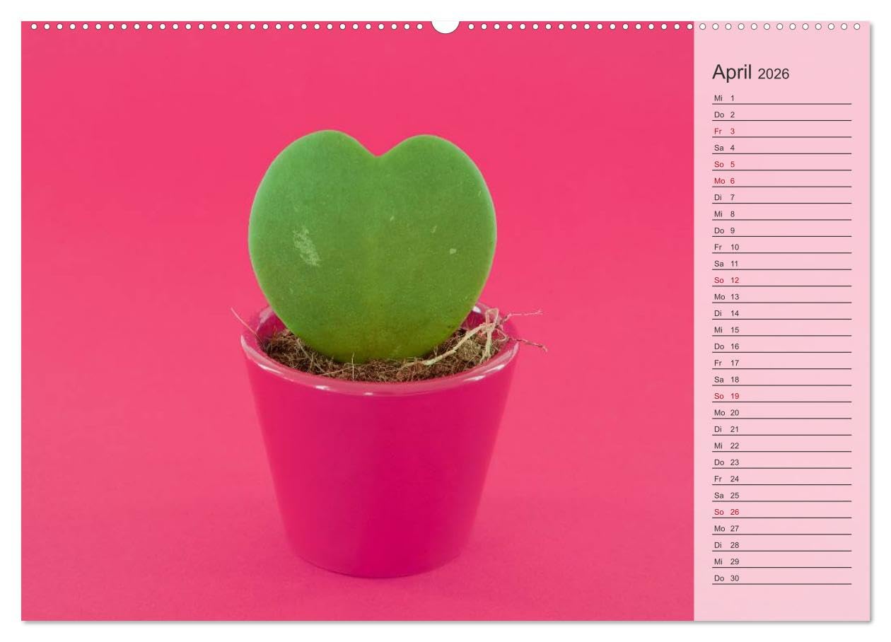 Tage von Herzen (hochwertiger Premium Wandkalender 2026 DIN A2 quer), Kunstdruck in Hochglanz: Geburtstagskalender mit Platz für Notizen (CALVENDO Lifestyle)
