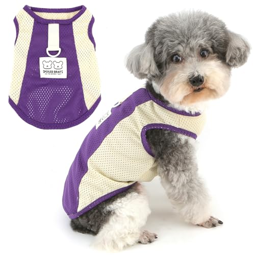 Zunea Atmungsaktives Mesh-Hunde-Shirt für kleine Hunde, weiches Sommer-Welpenweste, Tanktop mit D-Ring-Leinenhaken, Sport-Stil, Pullover, Größe XS/S, Haustierkleidung, T-Shirt, leicht
