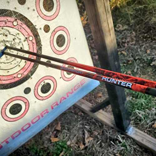 Bloodsport Unisex Adult Precise Durable Carbon Hunting Arrow For Hunter 20 Crossbow Bolt , Black, Us #TOP4