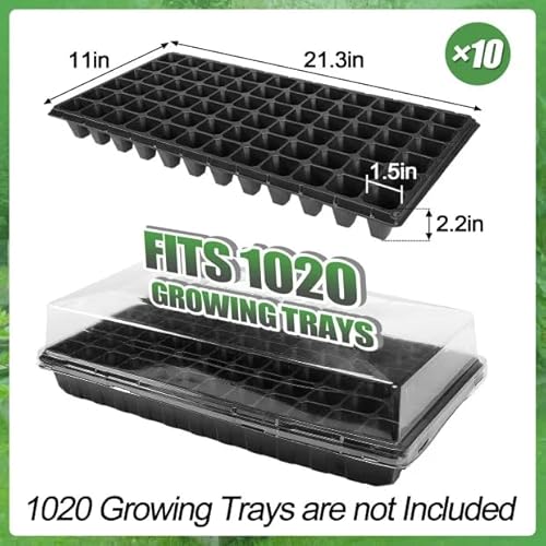 Apipi Seed Starter Tray Fits 1020 Growing Trays - 10 Pcs 72 Cell Reusable Seedling Nursery Trays, Thick Gardening Germination Trays with Drain Holes for Plant Seeds Propagation - Image 3