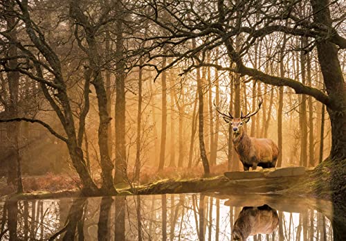 Clementoni Peace Rustling Silence - vue 3