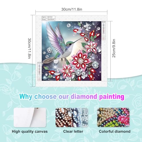 Image of AiYuanzsh Special Shape Diamond Art Kits for Adults, Hummingbird and Flowers 5D Crystal Rhinestone Diamond Art Canvas, DIY Paint by Diamonds Craft Kits, Sparkling Diamond Painting Wall Decor