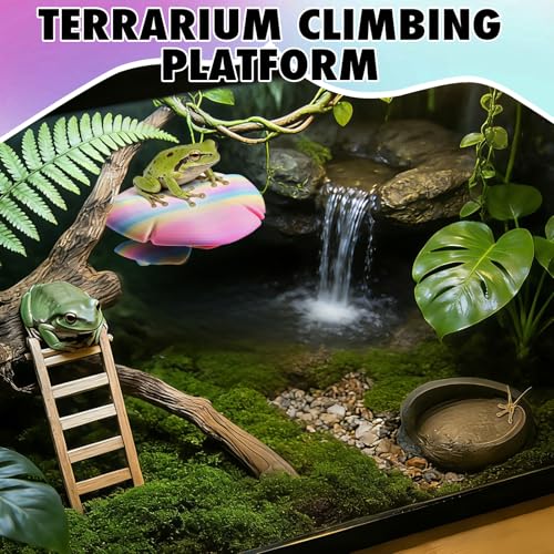 Swirge Mushroom Reptile Tank Decor, Mushroom Climbing and Resting Platform Habitat for Tree Frog Terrarium, Reptile Ledge for Leopard Gecko, Lizards, Fish, Turtle, Hermit Crab (Colorful)