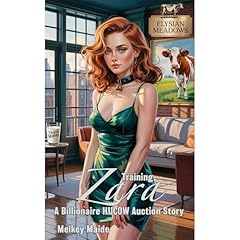 Training Zara Audiolibro Por Melkey Maide arte de portada