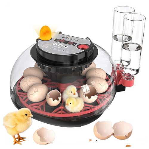 ZPZ 12 Egg Incubators for Hatching Eggs, Auto Turning, Humidity & Temperature Display, LED Egg Candler, 360 View, Incubators for Chicken Duck Quail Eggs, Energy-Efficient for Home/Farm/Classroom