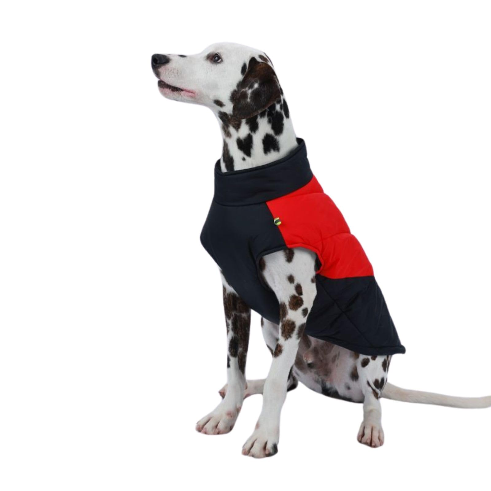View 6