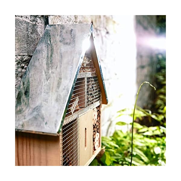 bambuswald© Insektenhotel ca. 29 x 24 x 8 cm | Bienenhotel Unterschlupf für Insekten - Insektenhaus Naturmaterialien… – Bild 7