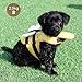GRABAGECAN Pets Life Vest Swimsuit Life Vest Adjustable Belt Flotation Device Swimsuit for Swimming