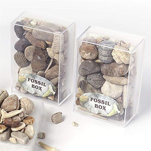 JITEM 1 Box Mixed Ore Specimens Science Rock Museum Teaching Gravel Specimen Materials Natural Stone - dingchi