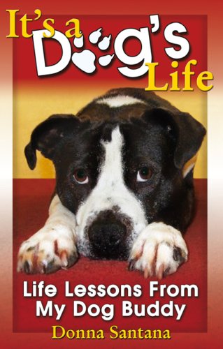 buddy buddy a dog's life
