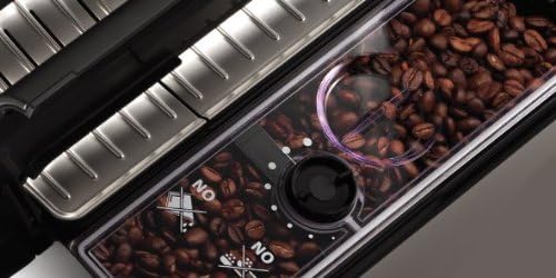 Gaggia Accademia Espresso Machine bean hopper with coffee beans