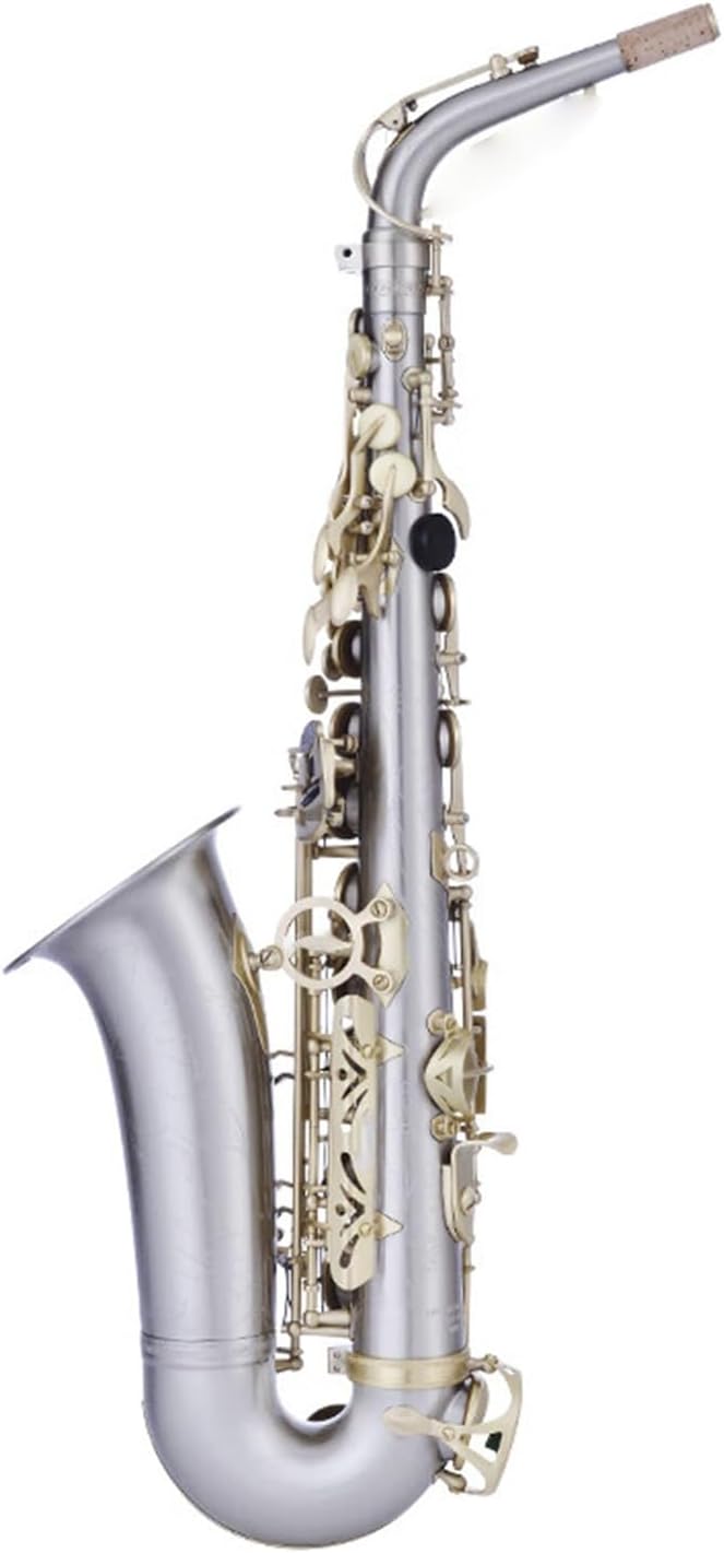 e-Sax アルトサックス用 BEST BRASS ( ベストブラス ) e-Sax i アルト