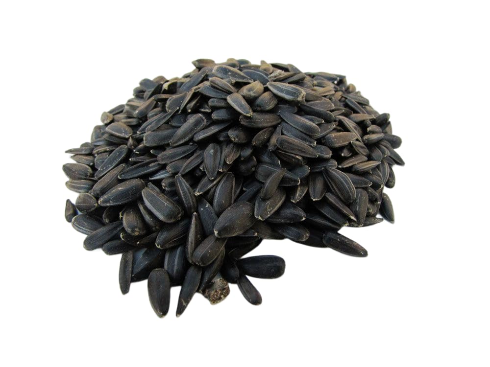 SOLIDE Sonnenblumenkerne (schwarz, ungeschält) – 25 kg