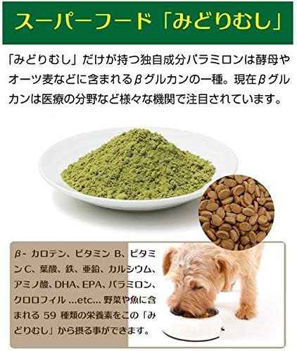 Amazon アニマル ワン みどりむし ドッグフード 機能性ツナ 800g アニマル ワン ウェット 通販