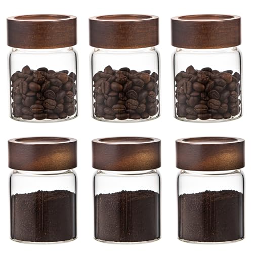 Patoper Glass Spice jars Glass Jars with Screw Lid 5 oz, Food Storage Canister for Pantry Sugar Tea Coffee Bean Seasoning Nuts Cookies (6 * 150ml(5oz)) by Patoper - Used condition - CA$25.44