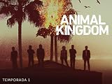 Animal Kingdom - Temporada 1