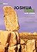 Joshua Tree Rock Climbs