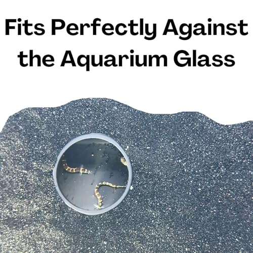 Image of Lucky Critter Aquarium Underground Tunnel Cave Natural Curve | Viewing Fish & Shrimp Under Gravel Tunnel | Fish Tank Decor Decoration Hideout Perfect for Corydora Catfish, Kuhli Loach, Pleco