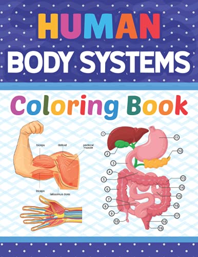 Human Body Systems Coloring Book: Learn Human Body Systems With Fun & Easy. Great Book For Learn About The Human Body Systems Anatomy. Human Body ... 