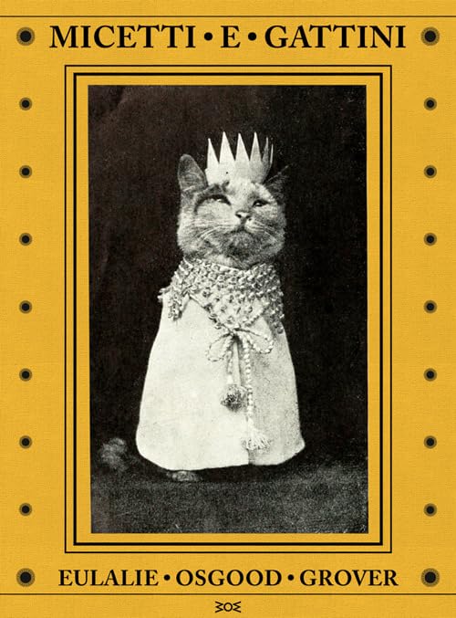  Micetti e gattini. Ediz. illustrata