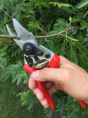 gonicc Professional Sharp Bypass Pruning Shears (GPPS-1007), for Smaller Hands, Sap Groove Design. - Thumbnail 6