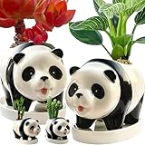 2PC Panda Bamboo Planter Pots Decor-Succulent Pots &Drainage Tray-5.7 Inch Animal shaped Planter Ceramic Lucky Bamboo Plant Pots Flower Pots indoor-Air Plants-Cactus Faux Planters Containers & Saucer