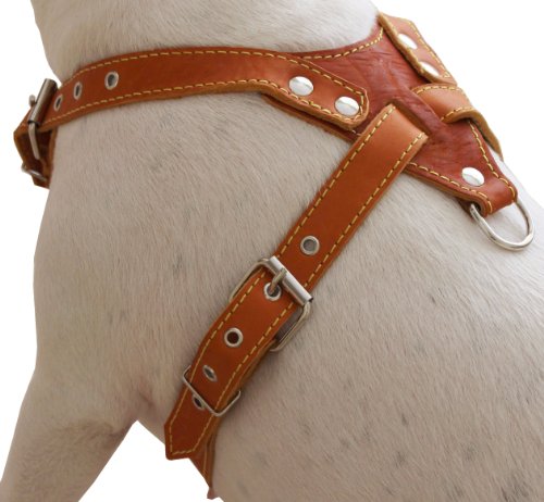 Genuine Leather Dog Harness, Medium. 25.5"-29" Chest Size, 1" Wide, Amstaff, Pitbull #TOP3