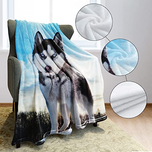 Hommomh 50" X 80" Blanket Throw Comfort Warmth Soft Cozy Air Conditioning Easy Care Machine Wash White Black Husky Huskie Dogs #TOP3